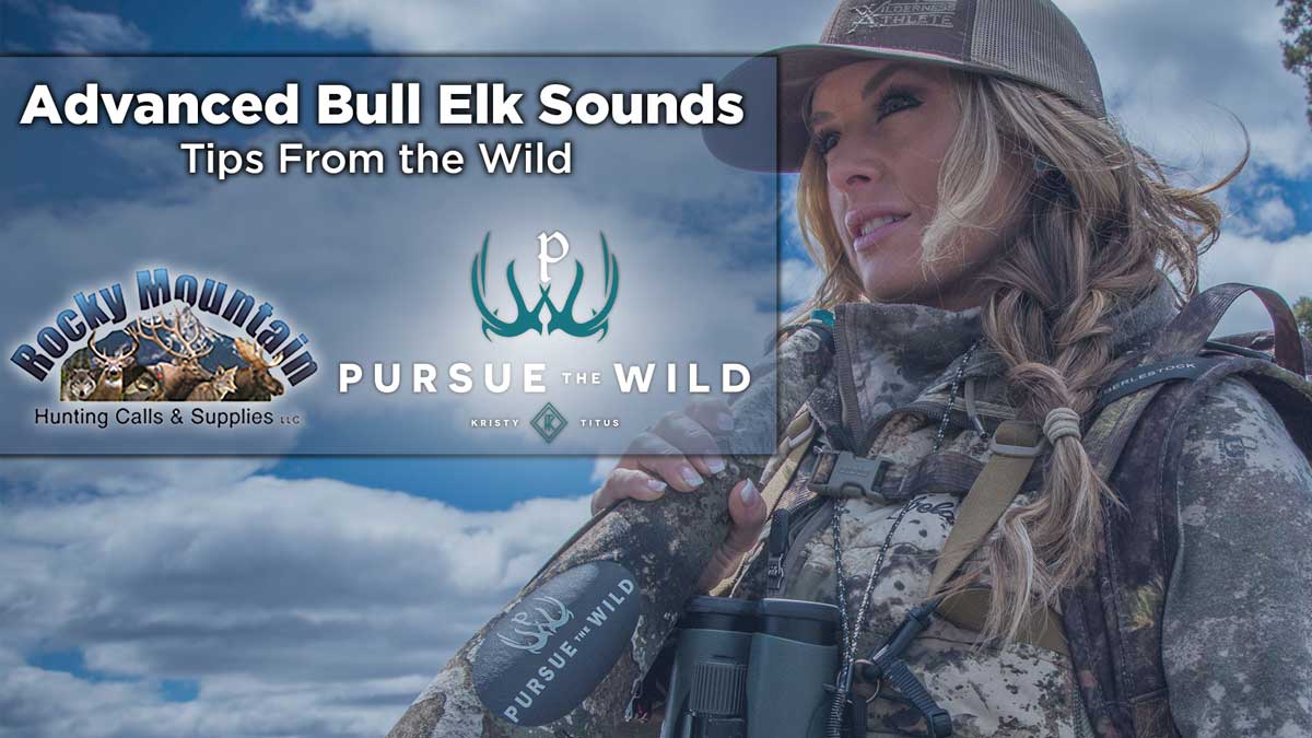 How To Master Elk Bugles Rocky Mountain Elk Foundation