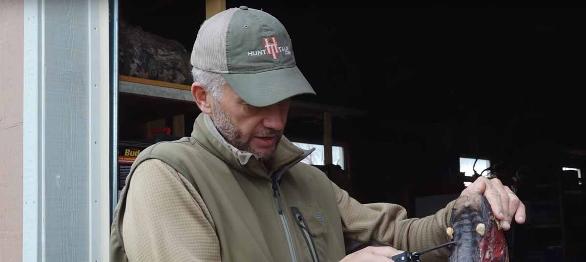 How to Remove Elk Ivories Rocky Mountain Elk Foundation