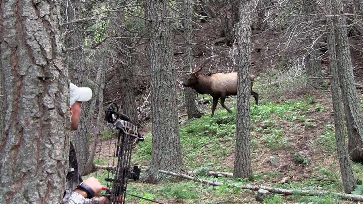 Setting Up for Elk Hunting Success In the Zone (Episode 3) Rocky