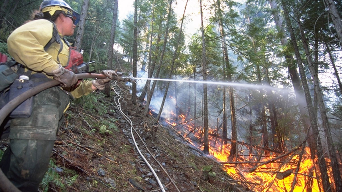 Prescribed Burn Improves Forest Health, Wildlife Habitat | RMEF Media ...