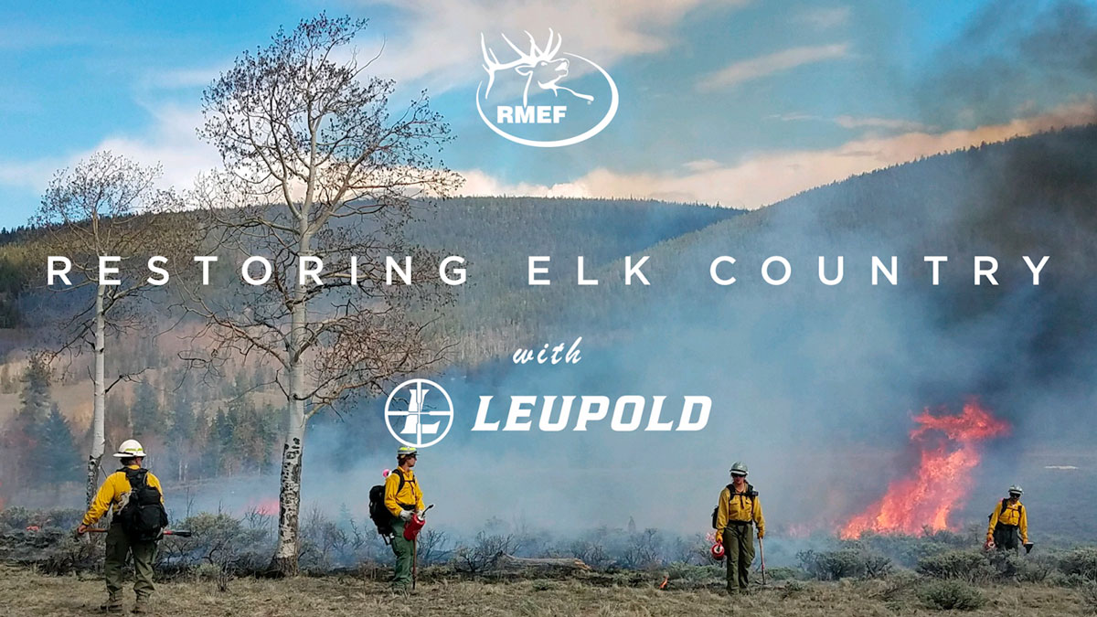 Restoring Elk CountryLittle Snowy Mountains Montana Rocky Mountain