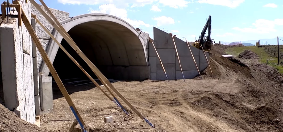 Colorado Wildlife Crossings Provides Safe Passage for Elk, Other ...