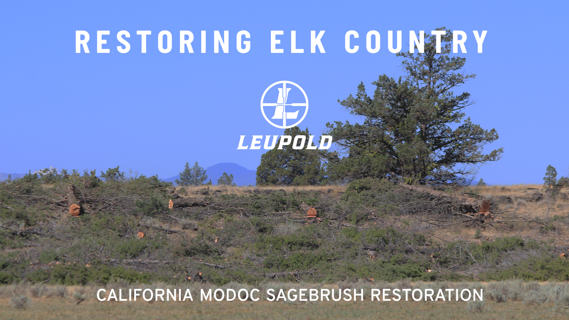Restoring Elk Country California Modoc Sagebrush Restoration Rocky