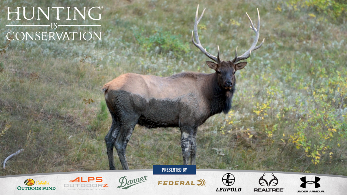 Hunting Is Conservation Hunting Helps Boost the Economy Rocky