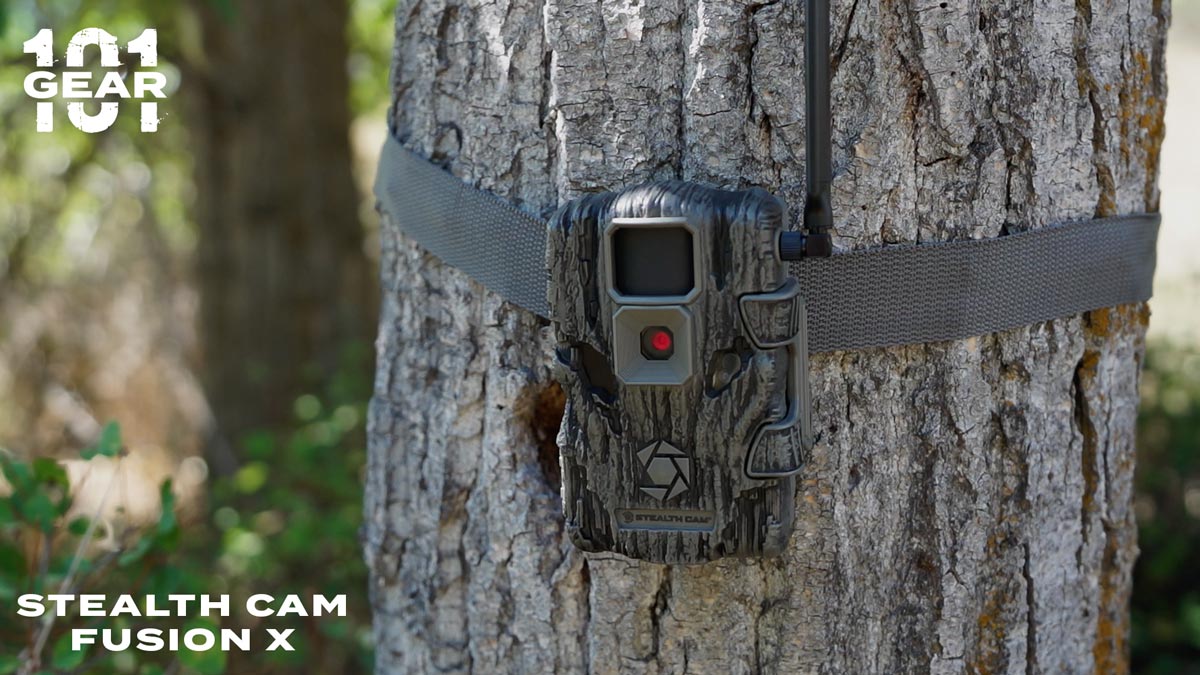 Gear 101 - Stealth Cam Fusion X | Rocky Mountain Elk Foundation