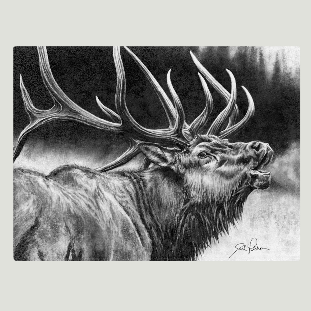 YETI Rambler 10 oz Lowball  Rocky Mountain Elk Foundation