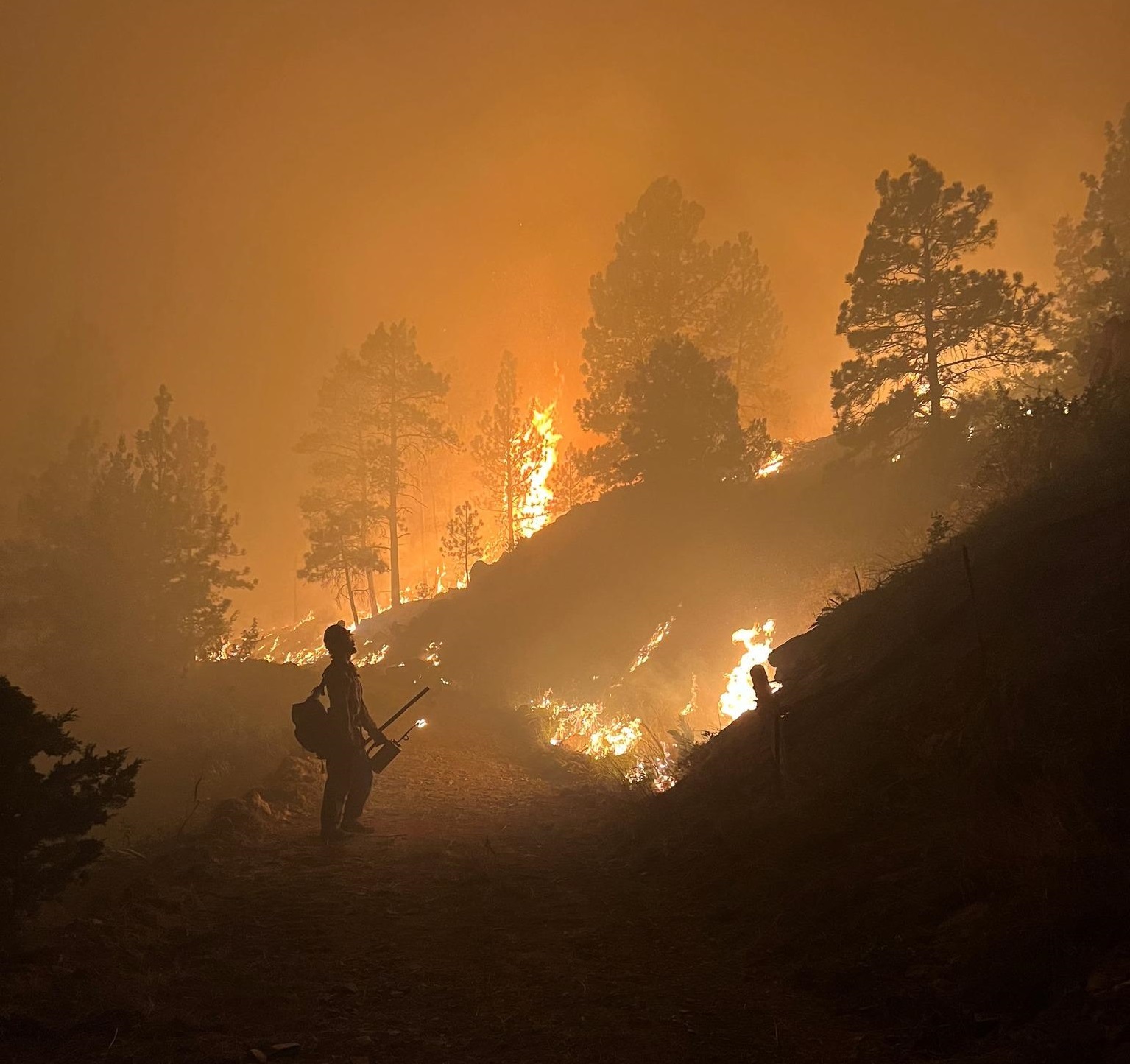 Blake Henning Rmef Environmentalist Lawsuit Opens Door for Deadly, Destructive Wildfire ...