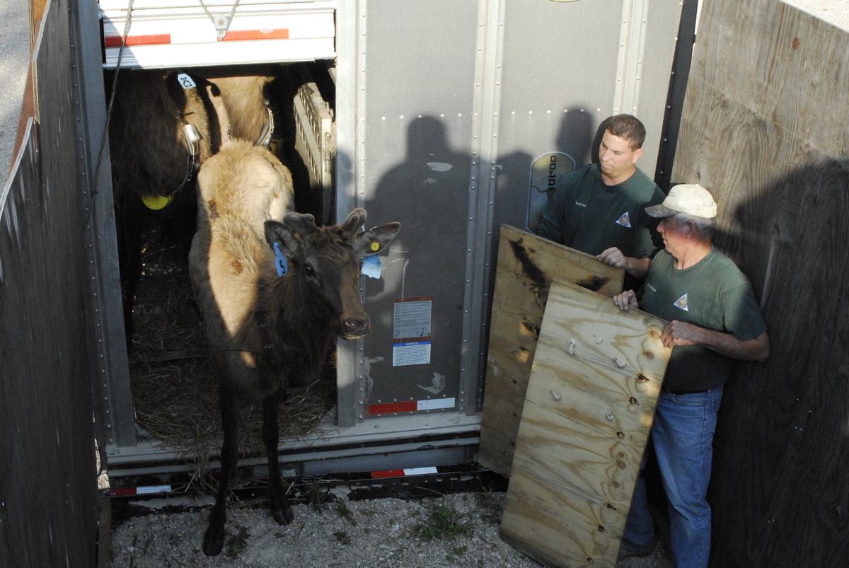 Blake Henning Rmef Coming Full Circle in the Show Me State | RMEF Media | Rocky Mountain ...