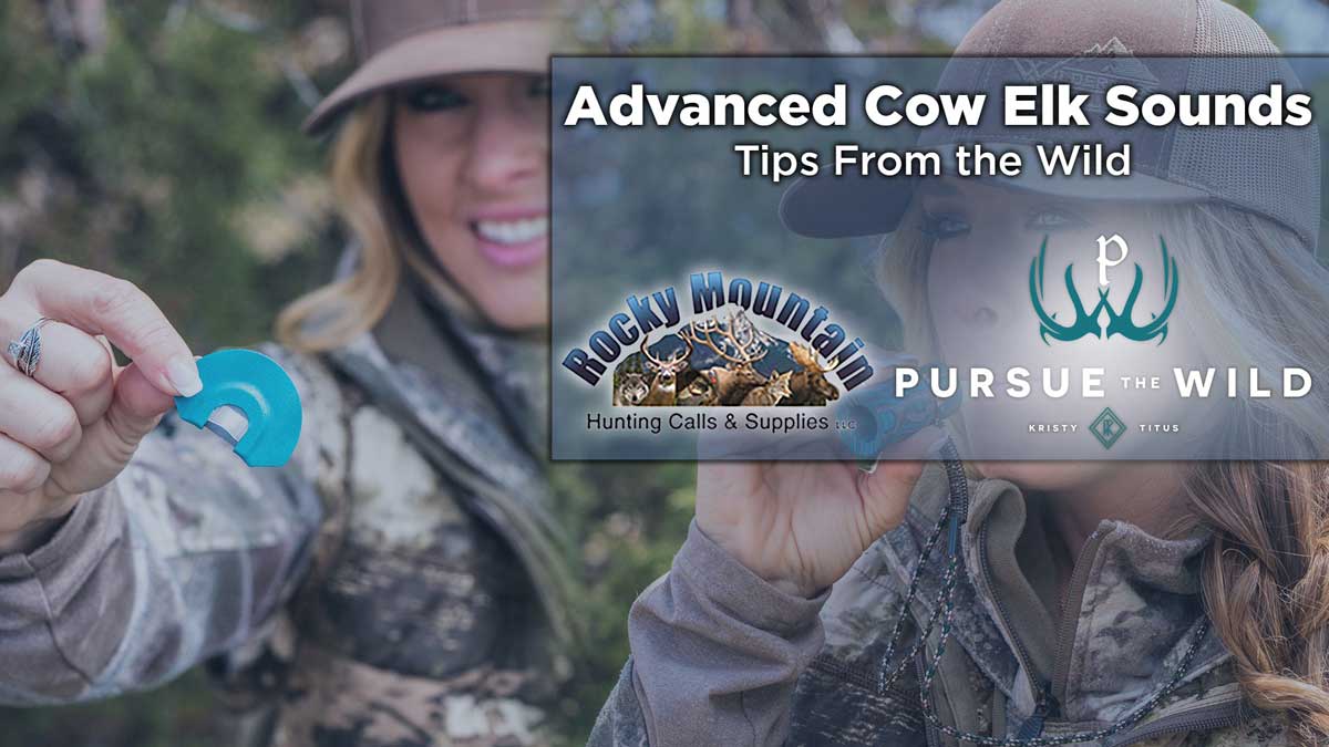 How To Make Advanced Cow Sounds Rocky Mountain Elk Foundation