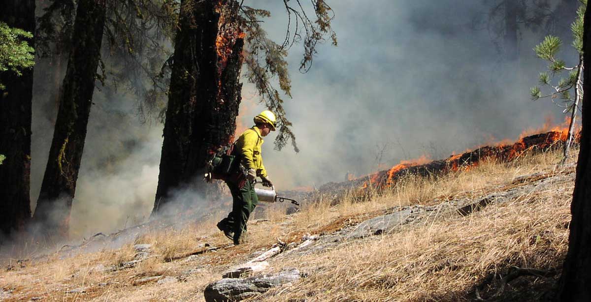 Oregon Prescribed Burn to Benefit Forest Health, Wildlife Habitat