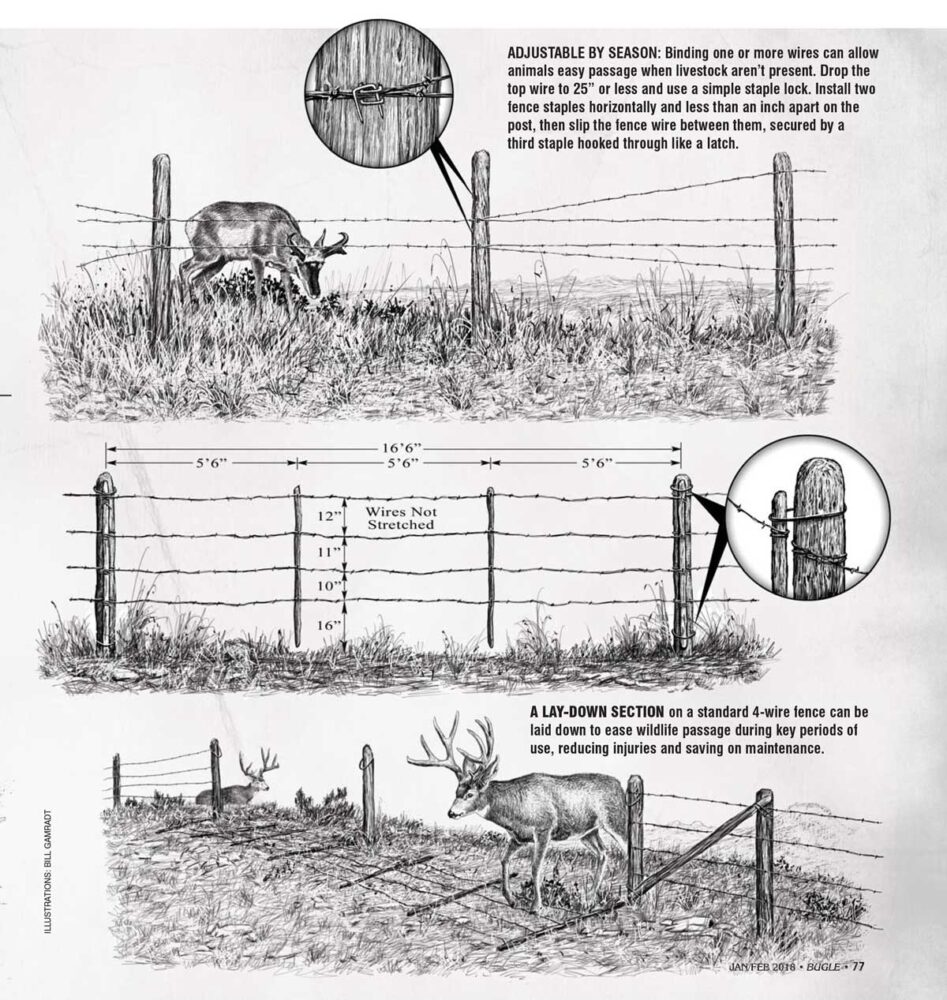 Mending Fences Wildlife Friendly Fencing Rocky Mountain Elk Foundation