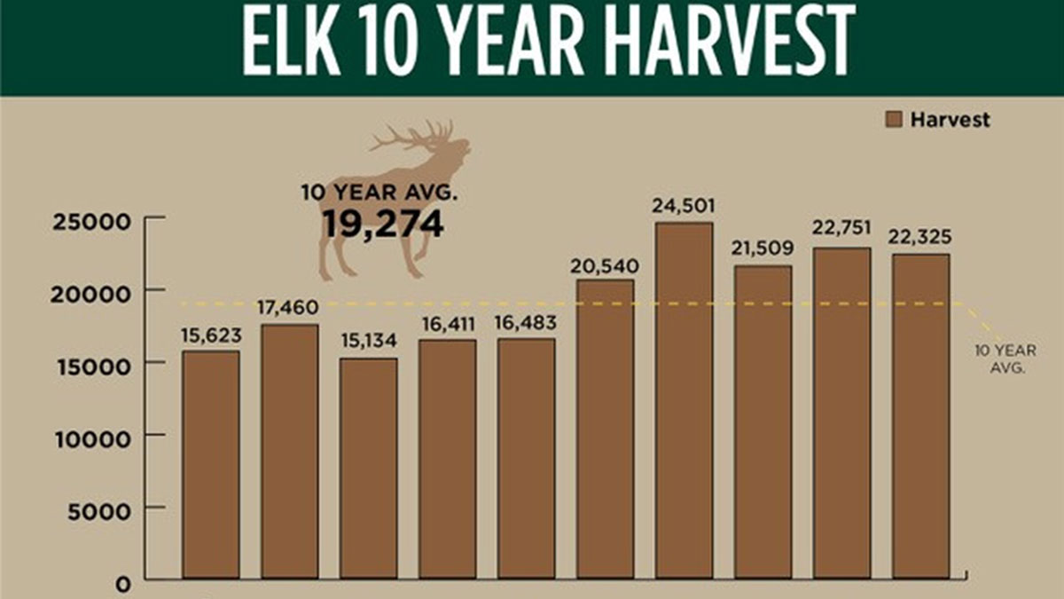 22,000+ Elk Harvested in Idaho during 2018 Season Rocky Mountain Elk