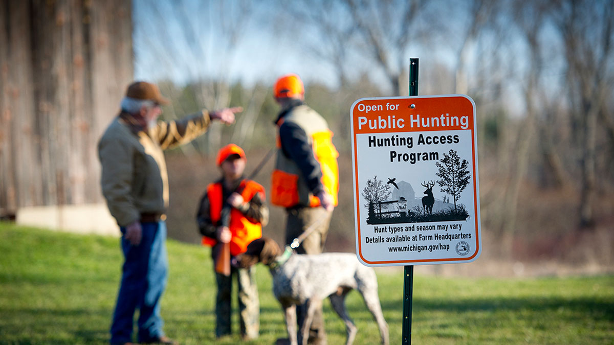 Michigan Seeks to Expand Public Access Hunting Rocky Mountain Elk