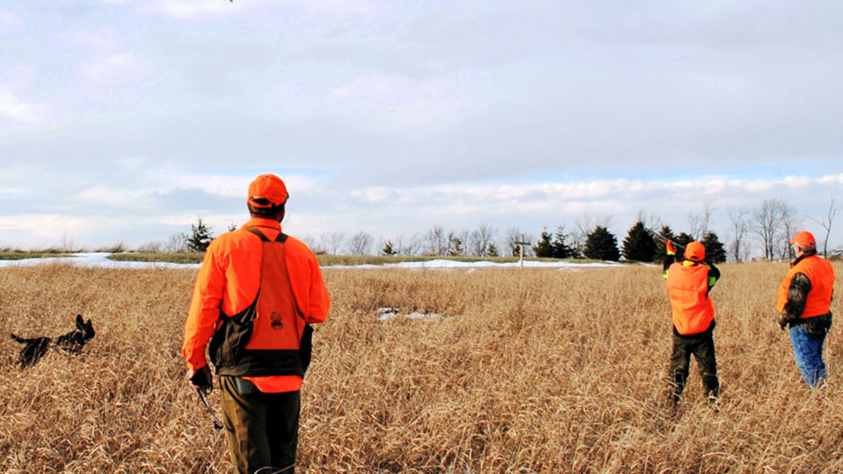 New to Hunting? Live in Wisconsin? Then Go Here to Learn How to Do It