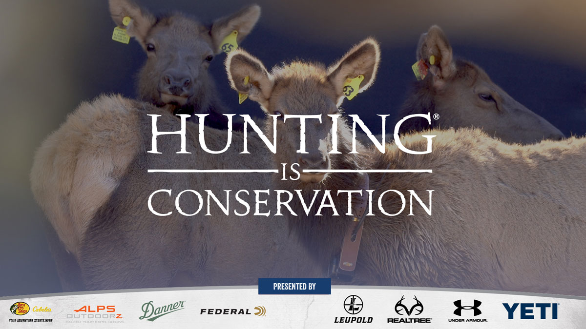 Hunting Is Conservation Hunting Provides Funding for Wildlife