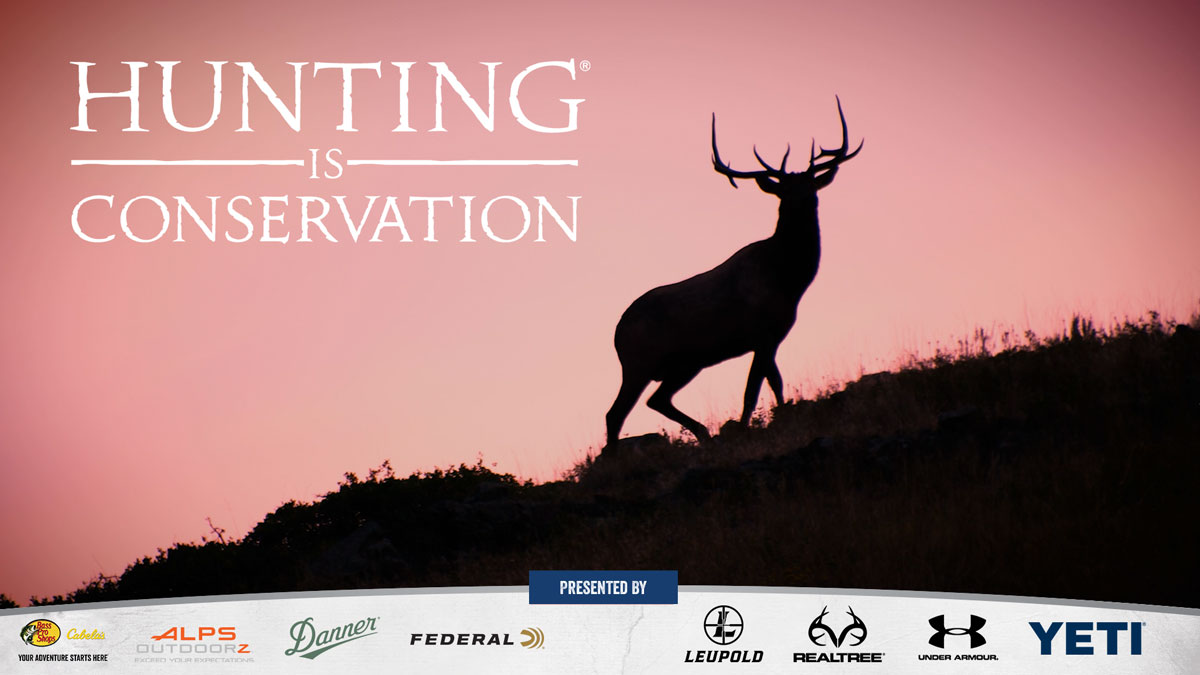 Hunting Is Conservation Hunting Fosters an Appreciation of Nature