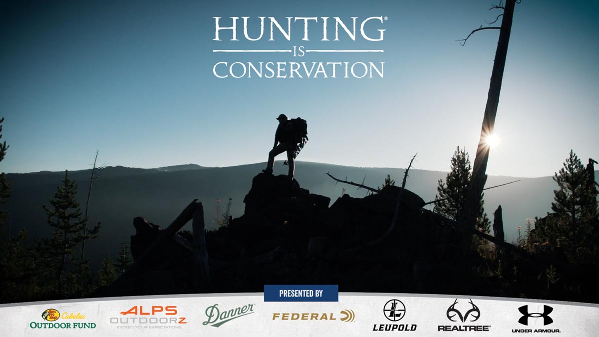 Hunting Is Conservation What It Really Means Rocky Mountain Elk