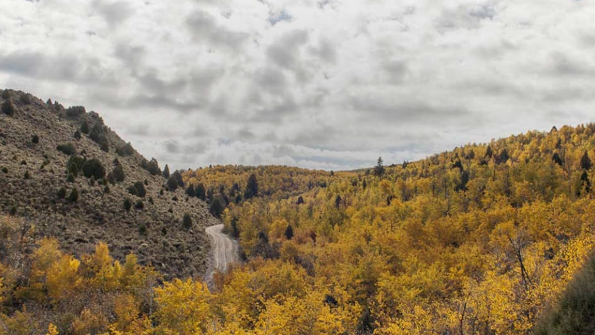 Idaho Adds 2,100 Acres to Tex Creek Wildlife Management Area | Rocky ...