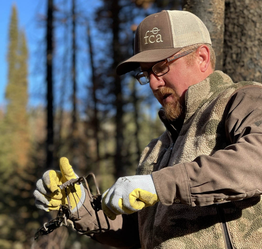 Regulated Trapping Accounts for Half of 2021 Idaho Wolf Harvest Rocky